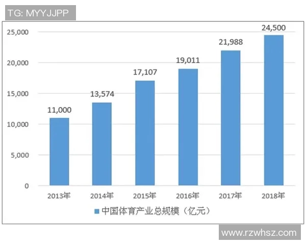 南京排球队的战术变革与深度分析探讨排球运动的未来发展方向