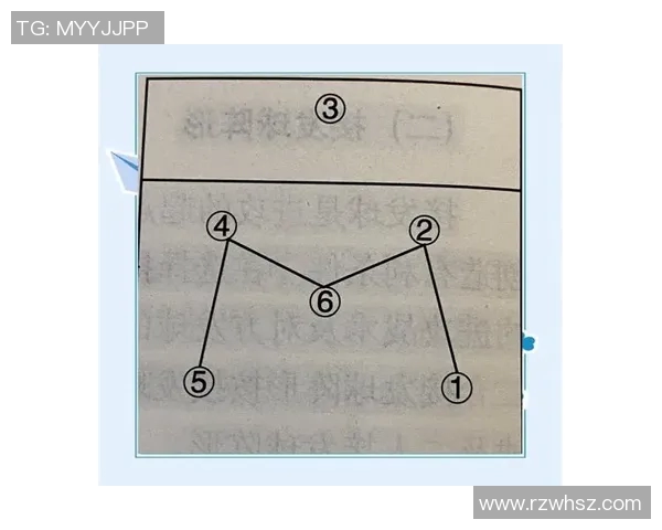 广州排球队反击战术深度解析与实战应用探讨